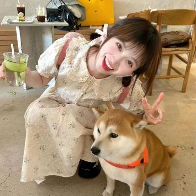 谍血柔肠